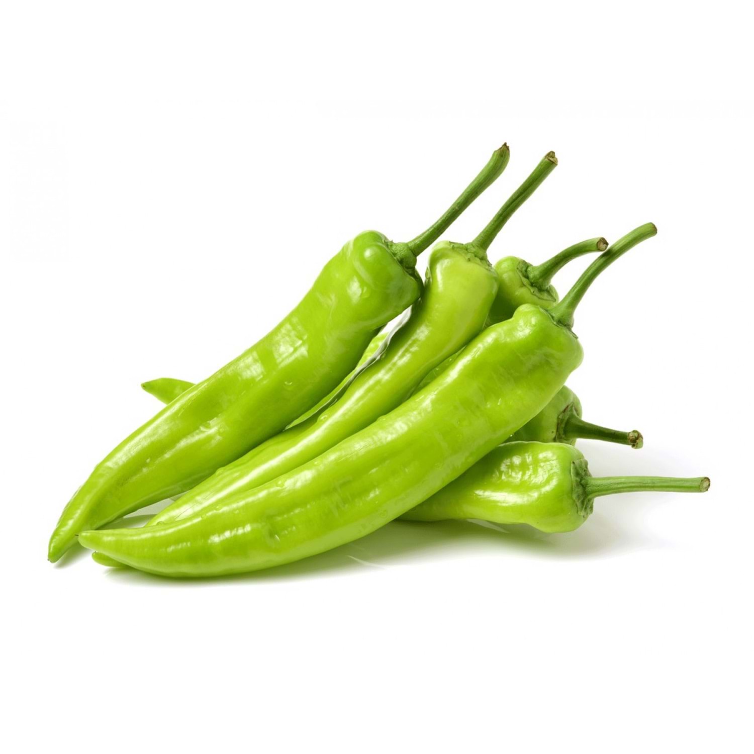 MNV. BIBER CARLISTON